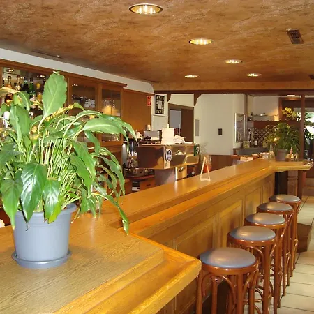 Casa de hóspedes Hotel-restaurant Handelshof 3*