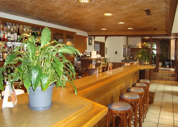 招待所 汉德尔斯霍夫餐厅酒店 3*